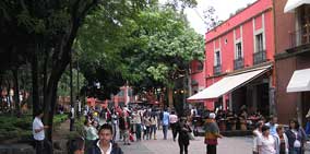 Artsy Cafés Along Coyocán's Park