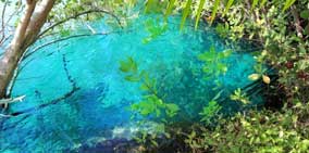 Cool Off in a Cenote Near Playa del Carmen